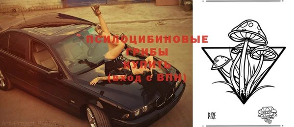 индика Бронницы