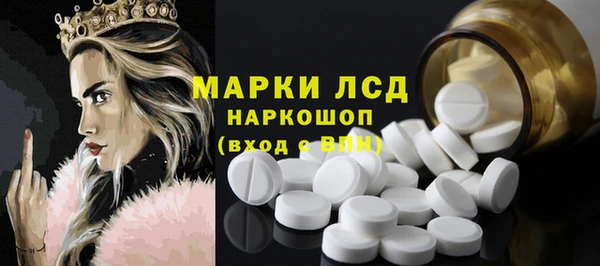 индика Бронницы