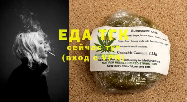 индика Бронницы