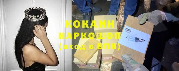 индика Бронницы