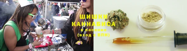 индика Бронницы