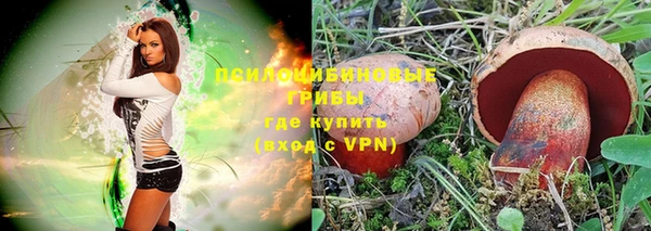 индика Бронницы