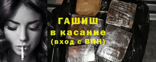 индика Бронницы