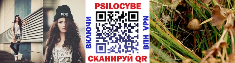 Купить закладки  Екатеринбург  Галлюциногенные грибы GOLDEN TEACHER 